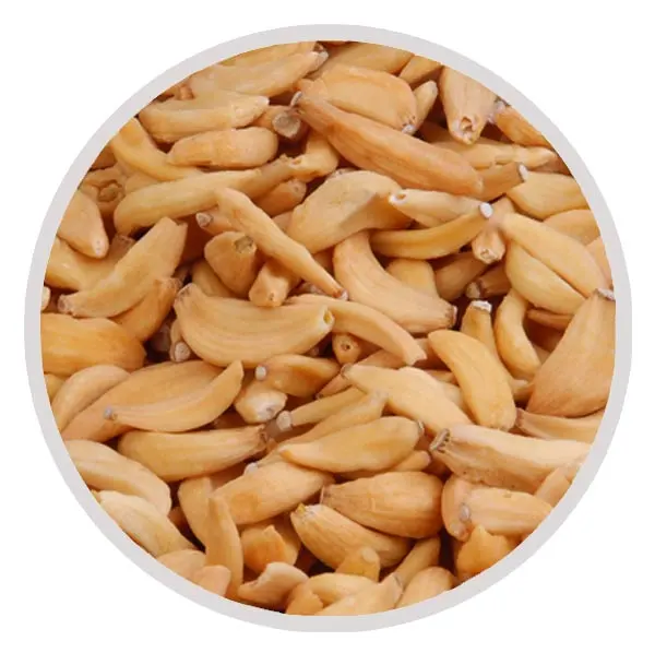 yatri foods Dehydrated Garlic