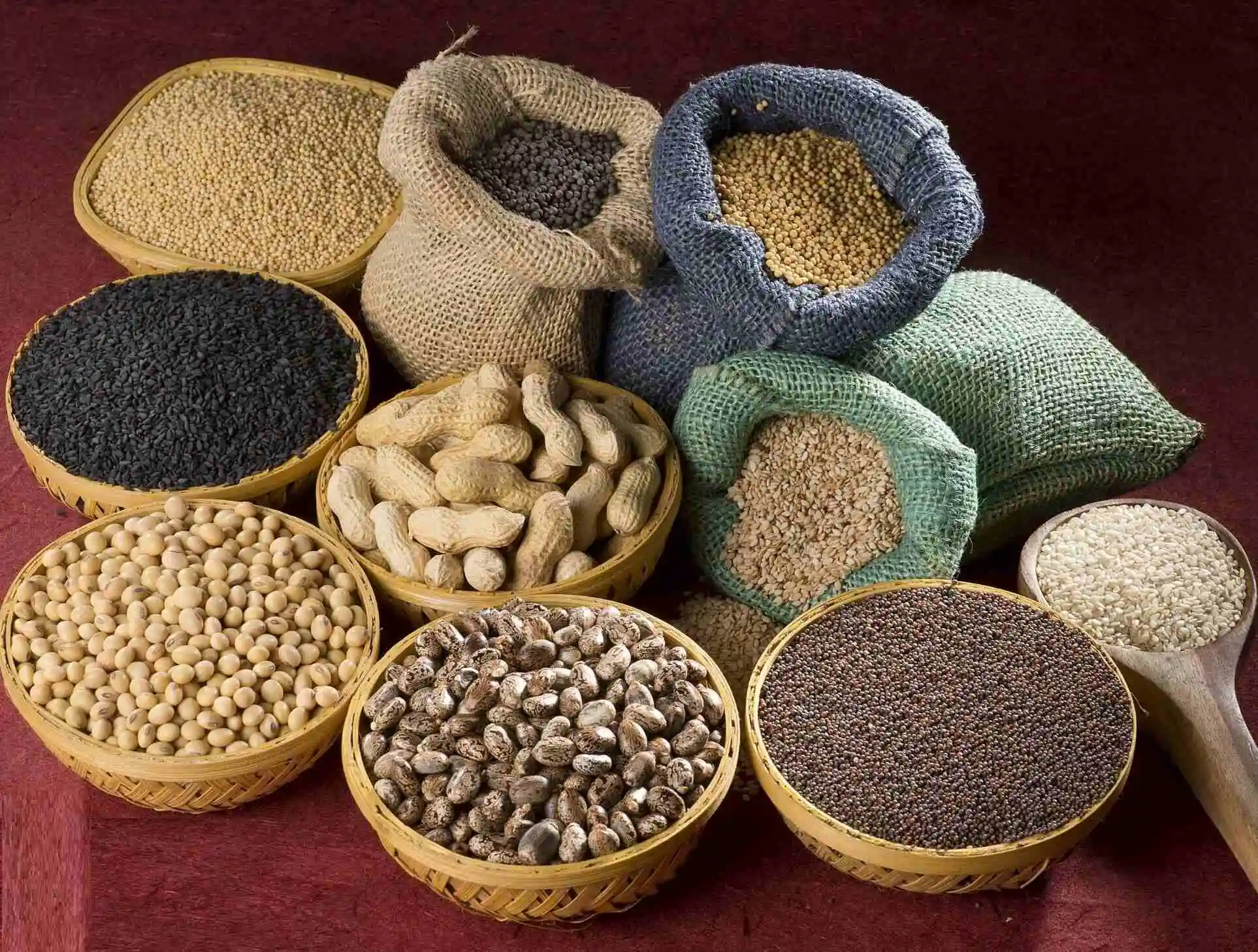  yatri foods Oil Seeds